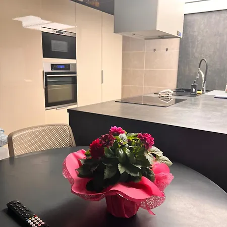 Giraffe Art Ducati Blq Appartement *